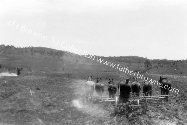 PLOUGHING WITH 7 HORSE POWER